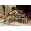 Rocket Launcher tubes - cu Chi